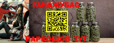 стафф Донской
