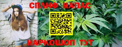 стафф Донской