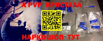стафф Донской