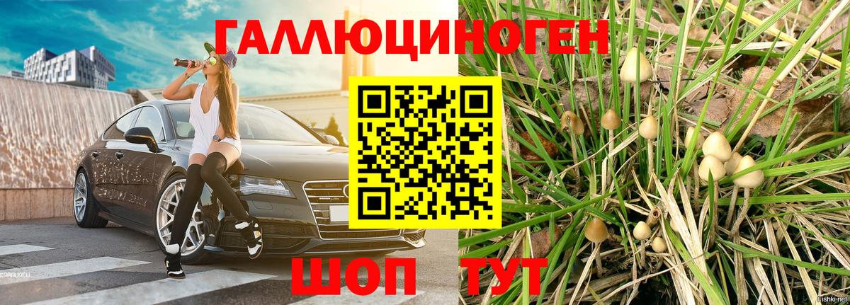 Москва  Галлюциногенные грибы мухоморы  Вход с VPN 